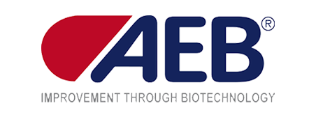 1-aeb.png
