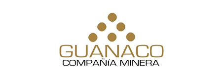 11-guanaco.png