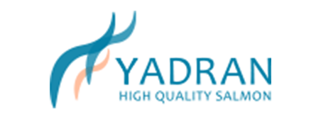 yadran.png